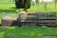 Composting 101: Your Guide to Green Living