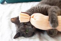 DIY Catnip Sock Toys: A Purr-fect Project for You and Your Cat