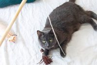 DIY Wooden Cat Wand Toy
