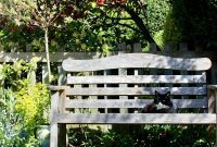 Preparing Your Garden for a Blooming Spring