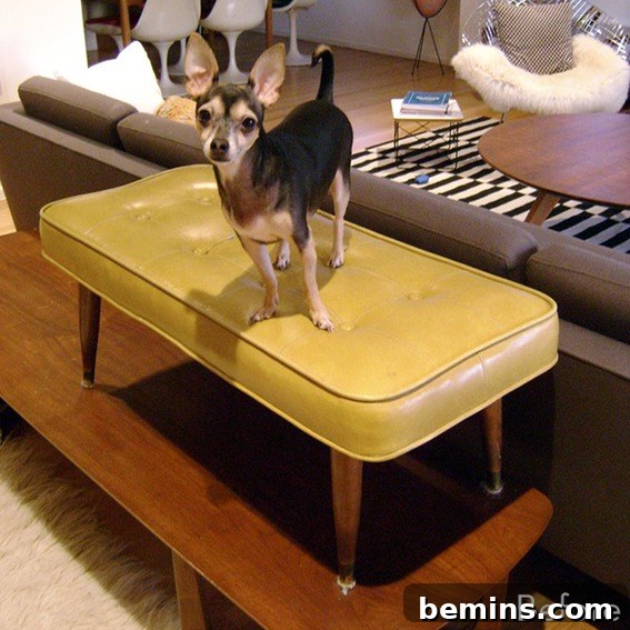 featured 6735
