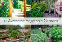 Visual Feast: 10 Inspiring Vegetable Garden Designs