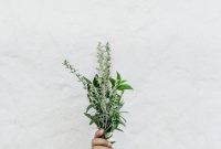 Herb Garden Oasis: Small Space Gardening Guide