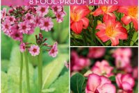 Low-Effort, High-Impact: Outdoor Plants for Time-Strapped Gardeners
