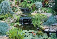 Five Brilliant Landscape Makeovers
