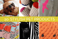 The Curated Pet Paradise: 20 Must-Have Finds for Your Furry Friend