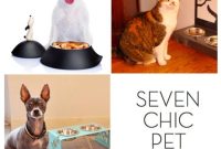7 Chic Pet Bowls That Elevate Mealtime