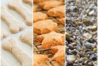 Spoil Your Furry Friend: 9 DIY Treat Recipes
