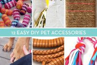 Creative DIY Pet Gear: Fun Projects for Your Furry Friend