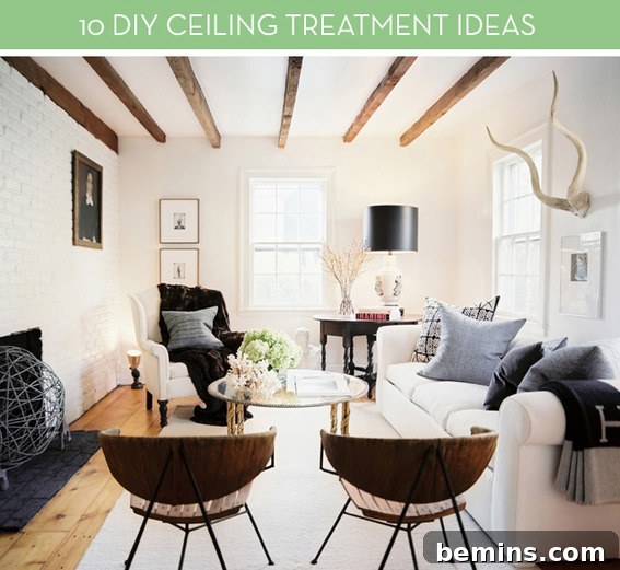 featured 7237