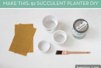 Budget-Friendly DIY Succulent Planter