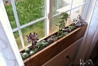 Craft a Charming Succulent Window Box in 10 Minutes