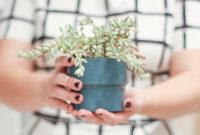 Creative Container Gardening: 10 DIY Planter Ideas