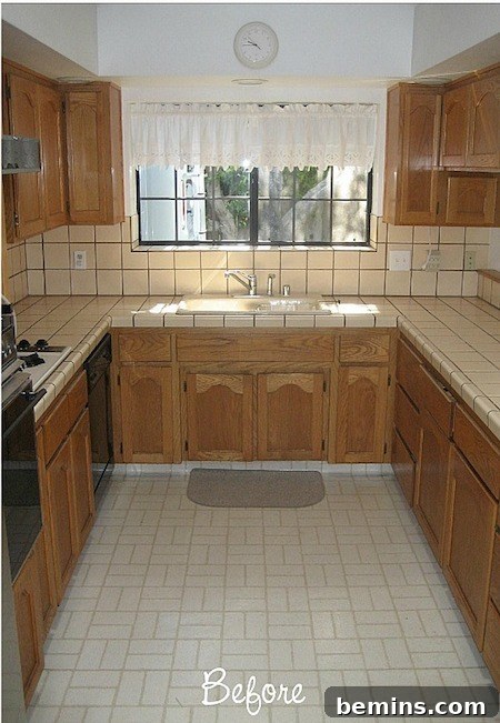 featured 8028