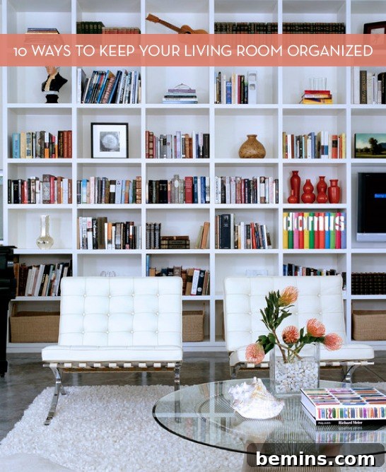 featured 8131