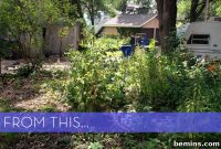 Refreshed Retreat: A Garden Shed and Backyard Transformation