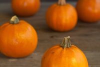 Crafting Cozy: DIY Pumpkin Drinkware for Autumn Sips