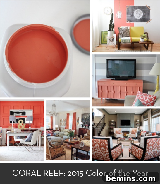 featured 8514