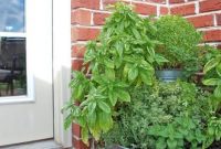 Gardening on the Go: Renters’ Guide to a Flourishing Garden