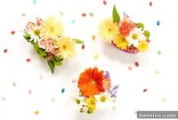 Creative Eggshell Garden