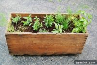 A Beginner’s Guide to Growing Your Own Herb Garden