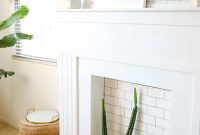 Foolproof Cactus Decor: Spiky Style, Zero Thorns