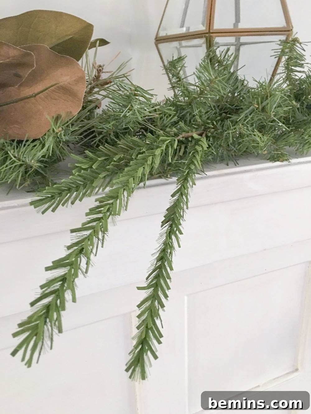 Draping evergreen