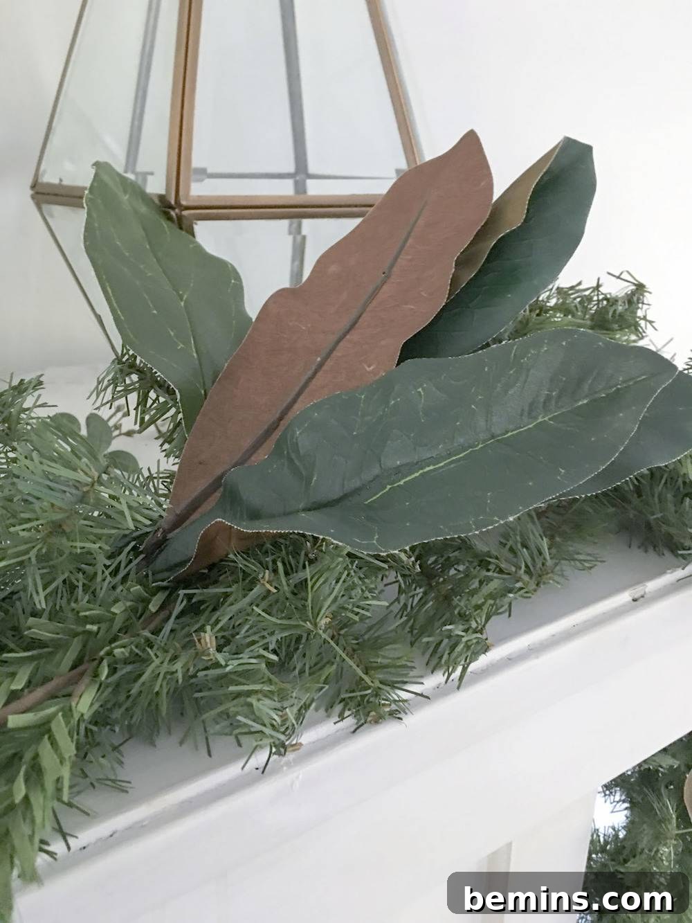 Magnolia leaves in greenery