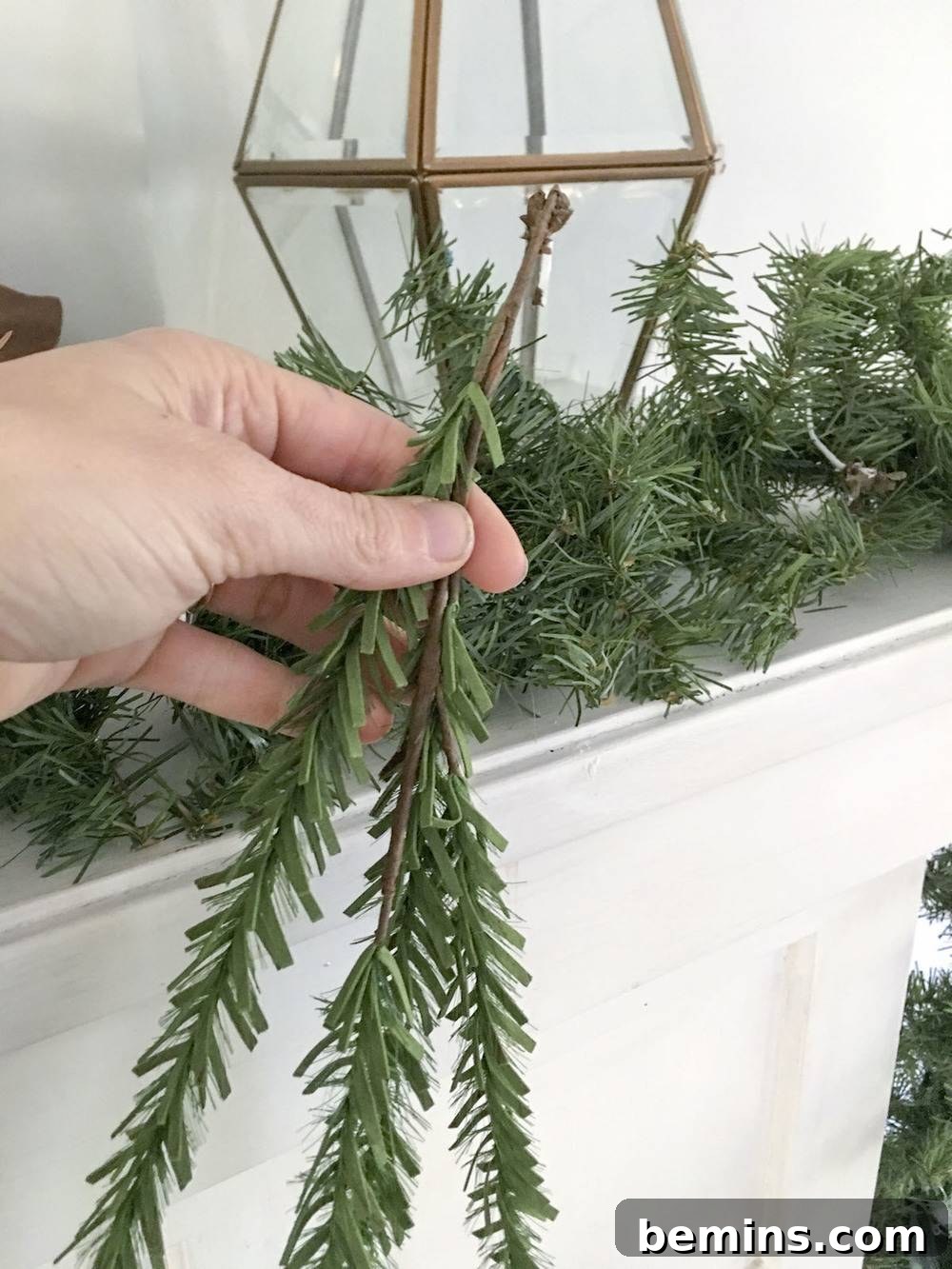Adding evergreen