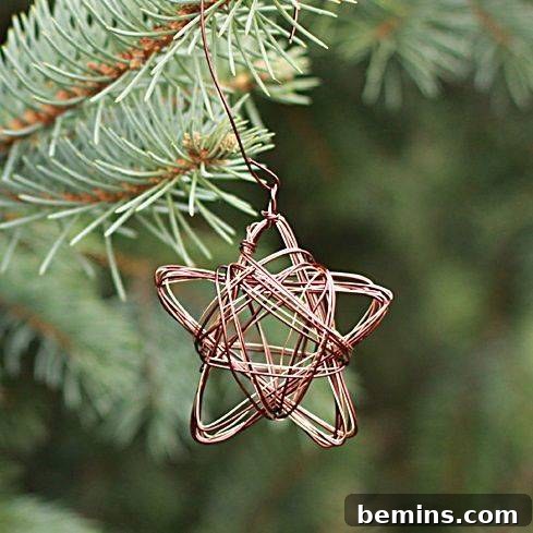 DIY Holiday Decoration Idea: Wire Star Ornament