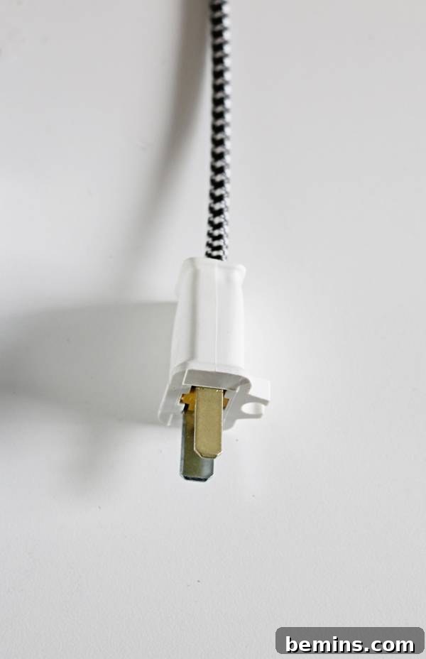 Attaching the Plug