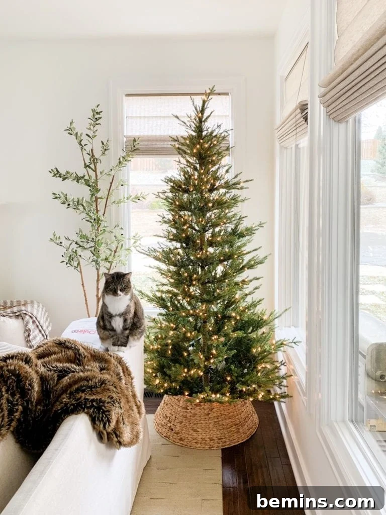 A gorgeous tree (and cat!) from Life on Virginia Street uses a traditional woven basket tree collar.