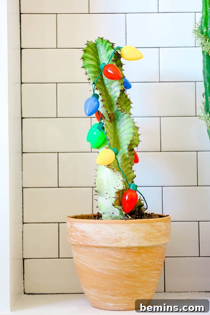 Spruce Up Your Evergreens: Holiday Decorating Ideas for Year-Round Plants 3 Decorating Tall Plants for the Holidays: String Lights and Festive Cheer