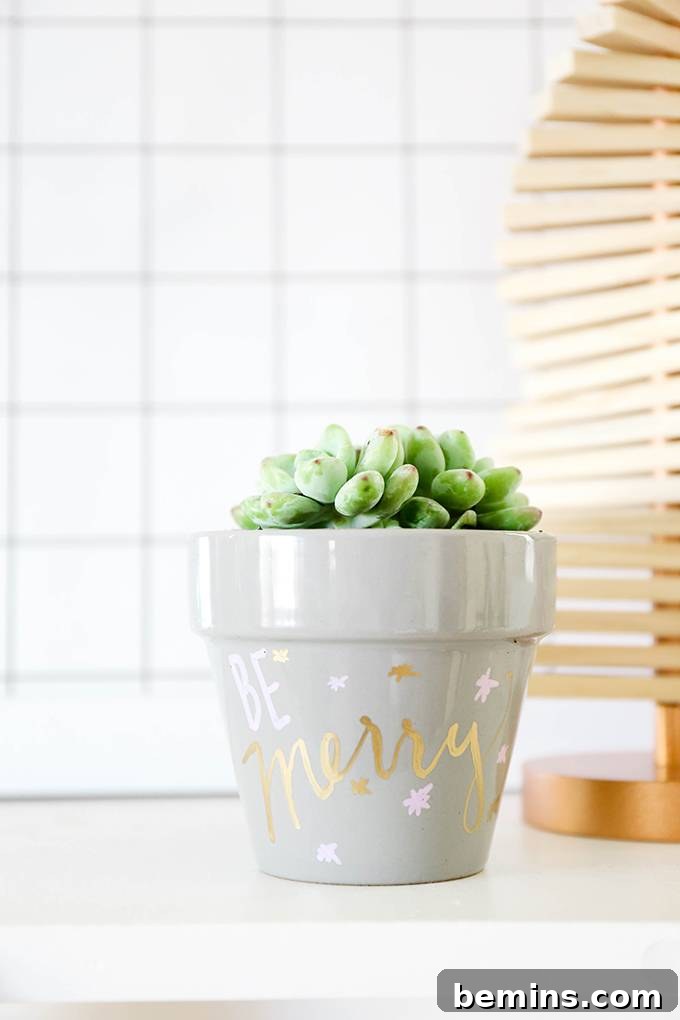 Spruce Up Your Evergreens: Holiday Decorating Ideas for Year-Round Plants 4 Holiday Plant Pot Decor: Adding Gilded Designs and Cheerful Words