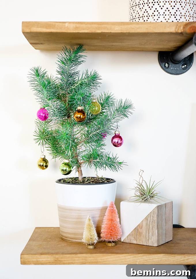 Spruce Up Your Evergreens: Holiday Decorating Ideas for Year-Round Plants 6 Hanging Mini Ornaments from Plant Branches: A Delicate and Festive Touch