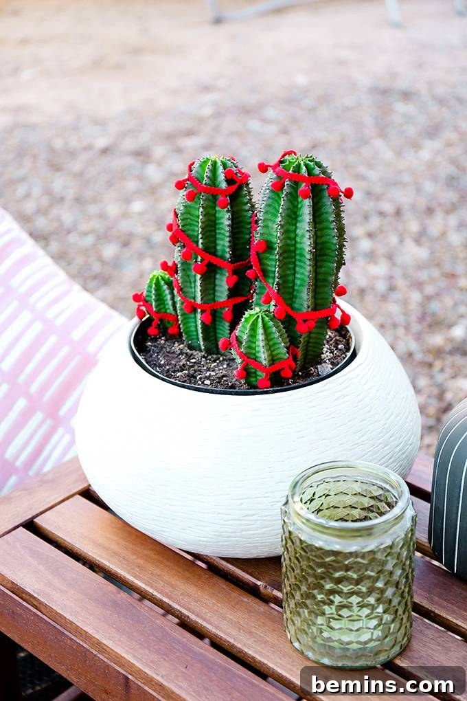 Spruce Up Your Evergreens: Holiday Decorating Ideas for Year-Round Plants 7 Adding Pom Pom Trim to Plants: A Fun and Festive DIY Project