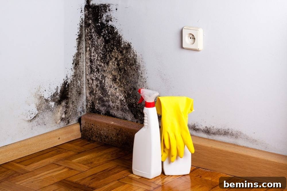 Home Scent Mastery Create an Amazing Atmosphere with Potpourri and Fragrance 15 Corner of a room covered in mold, with cleaning supplies in the foreground