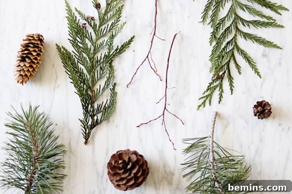 Foraging for Wreath Materials
