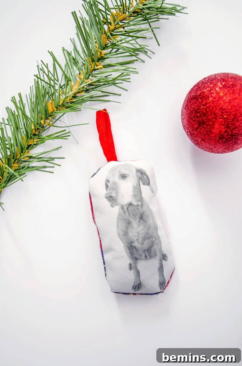 DIY Pet Christmas Ornament on Tree: A Personalized Holiday Decoration