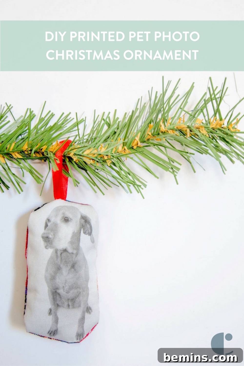 DIY Pet Christmas Ornament: Pin It and Share It