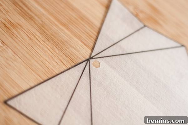 Step 3: Cutting out the Image