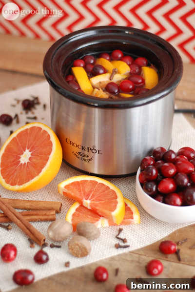 Crock Pot Christmas Potpourri Recipe