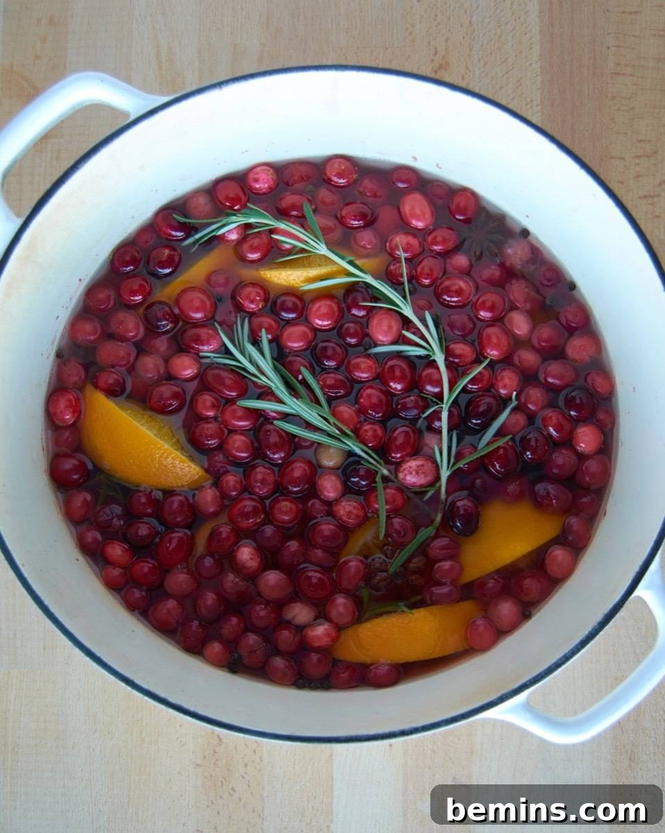 Stovetop Simmer for Christmas Home Scent