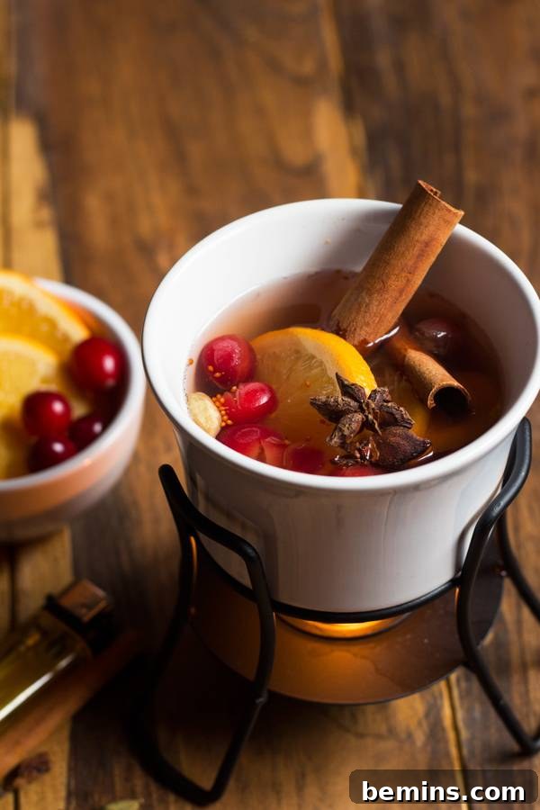 Christmas Simmer Pot Recipe with Spices