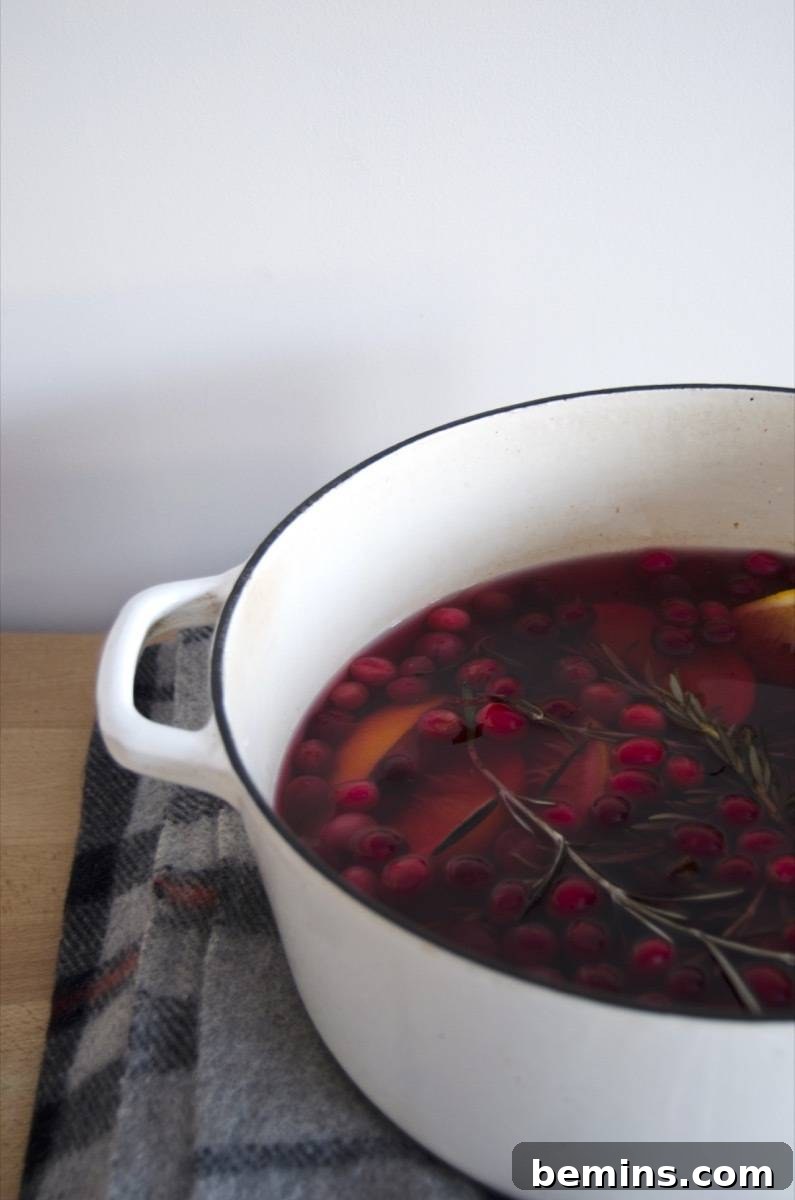Making Your Home Irresistibly Festive This Christmas 3 Stovetop potpourri simmering on the stove, releasing its festive aroma.