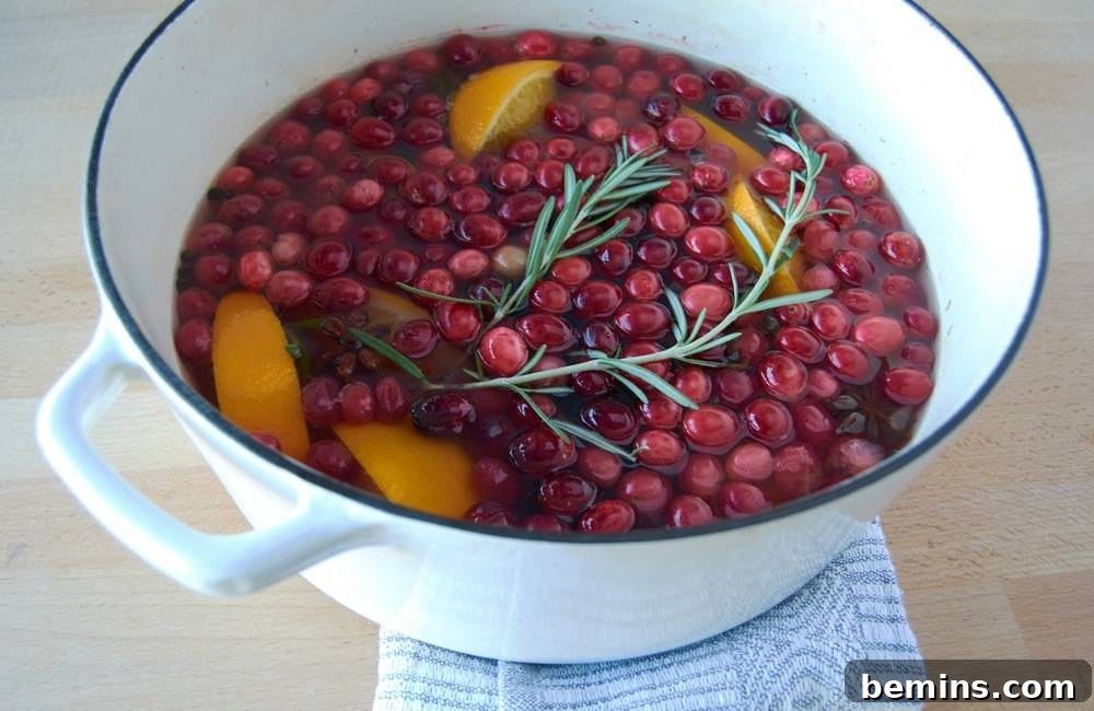 A vibrant array of fresh cranberries, cinnamon sticks, and allspice berries