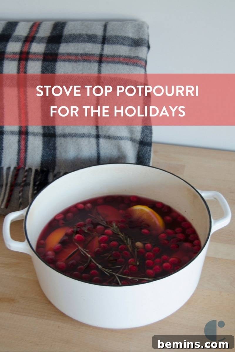 The finished stovetop potpourri filling a home with the scent of Christmas