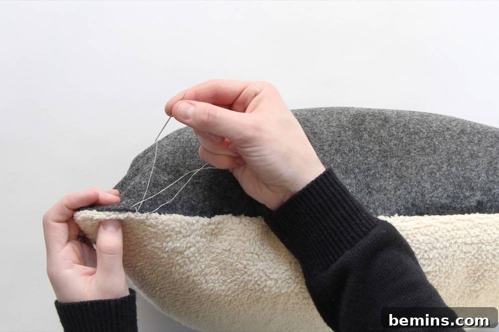 Stuffing the Cat Bed