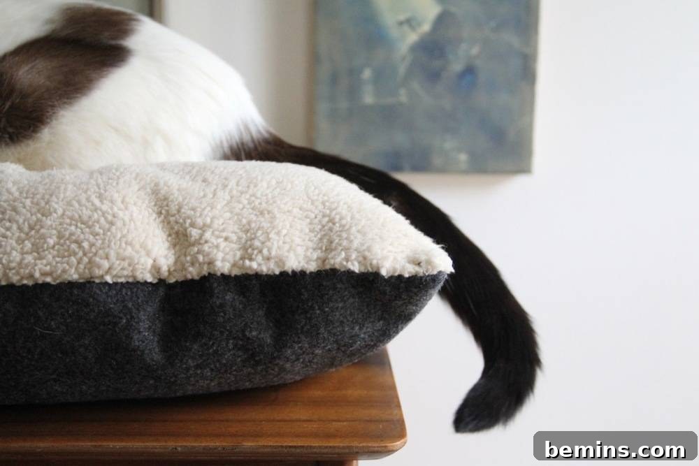 Finished DIY Cat Bed