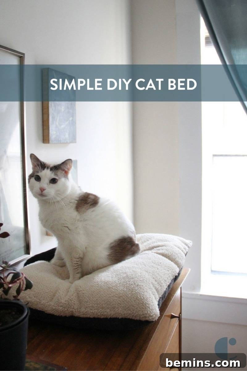 Share this Pet Project